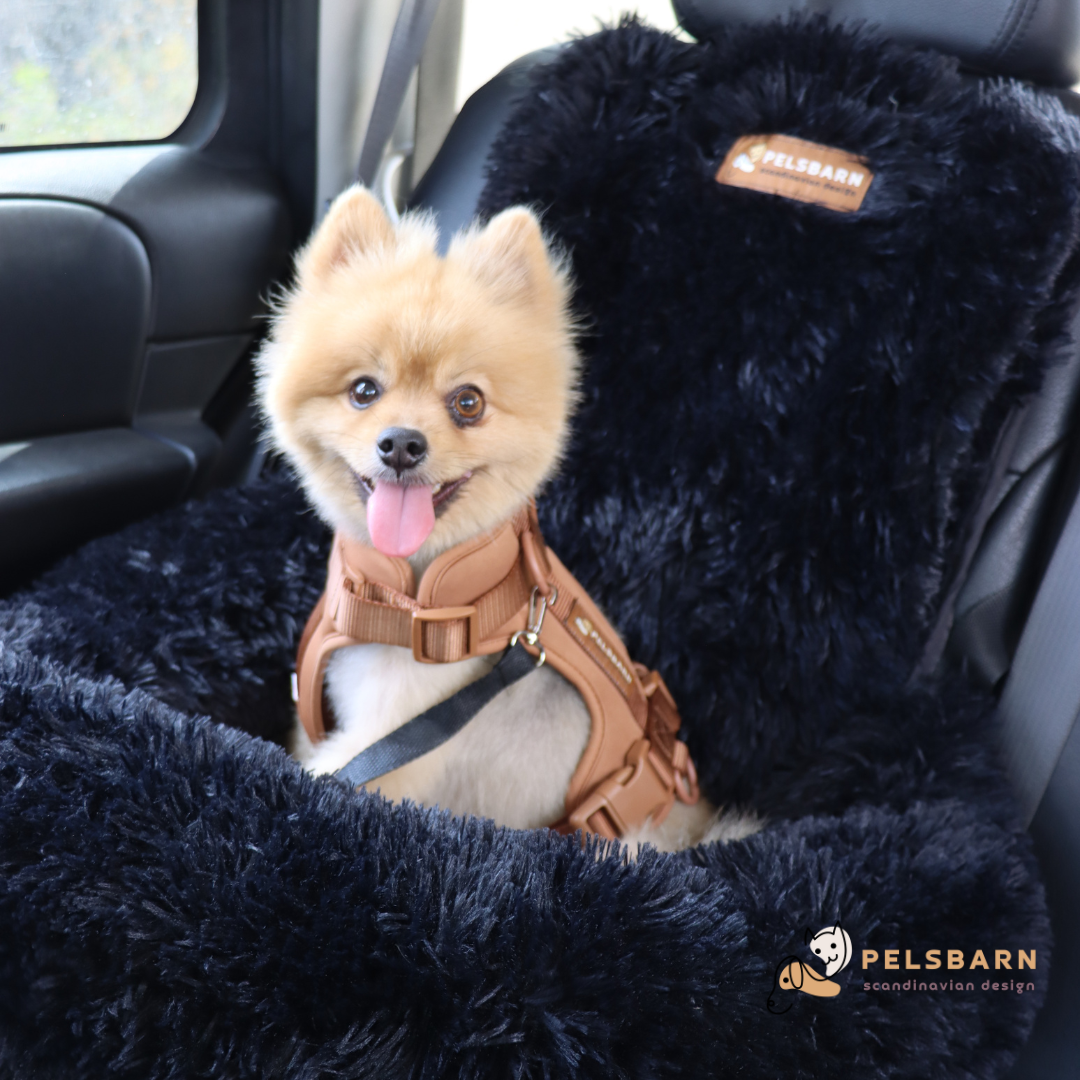 Pelsbarn Protecting Car Bed + Free Mat
