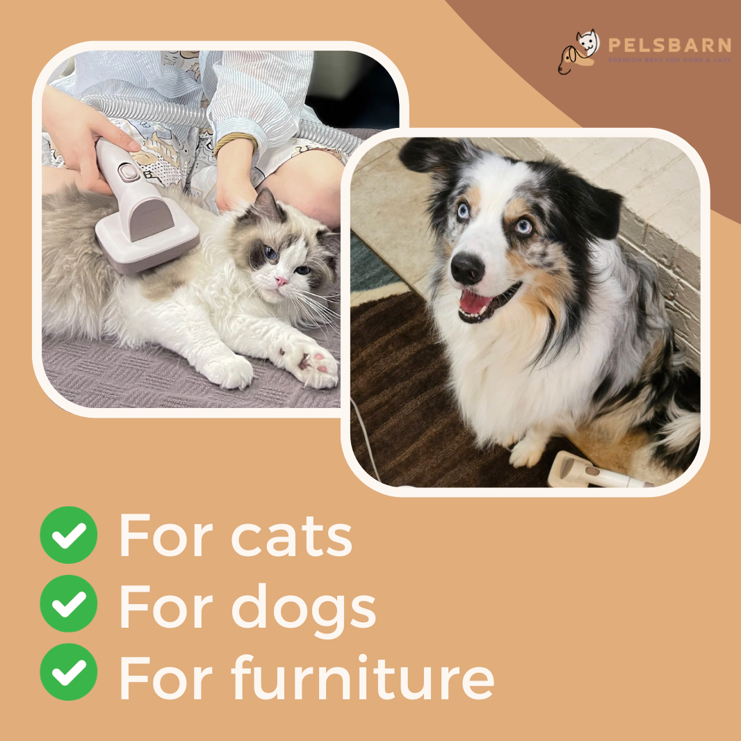 Pelsbarn 6-In-1 Dog Grooming Kit & Vacuum