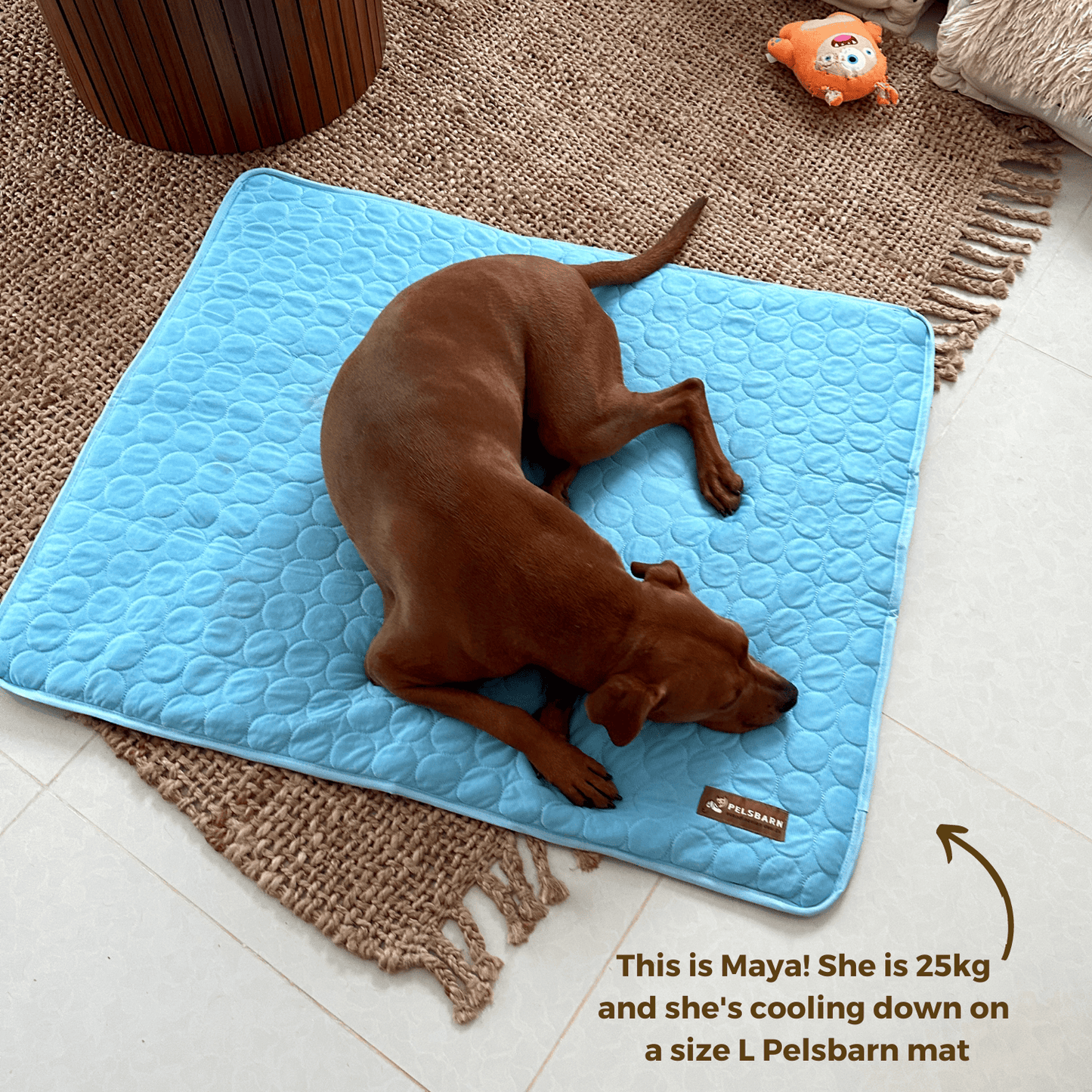 Pelsbarn Cooling Mat (4x more effective)