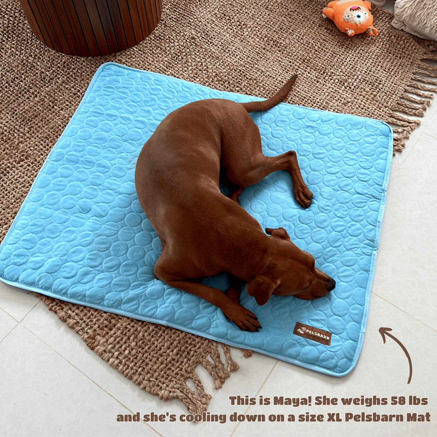Pelsbarn Cooling Down Mat (buy 1 get 1 FREE)