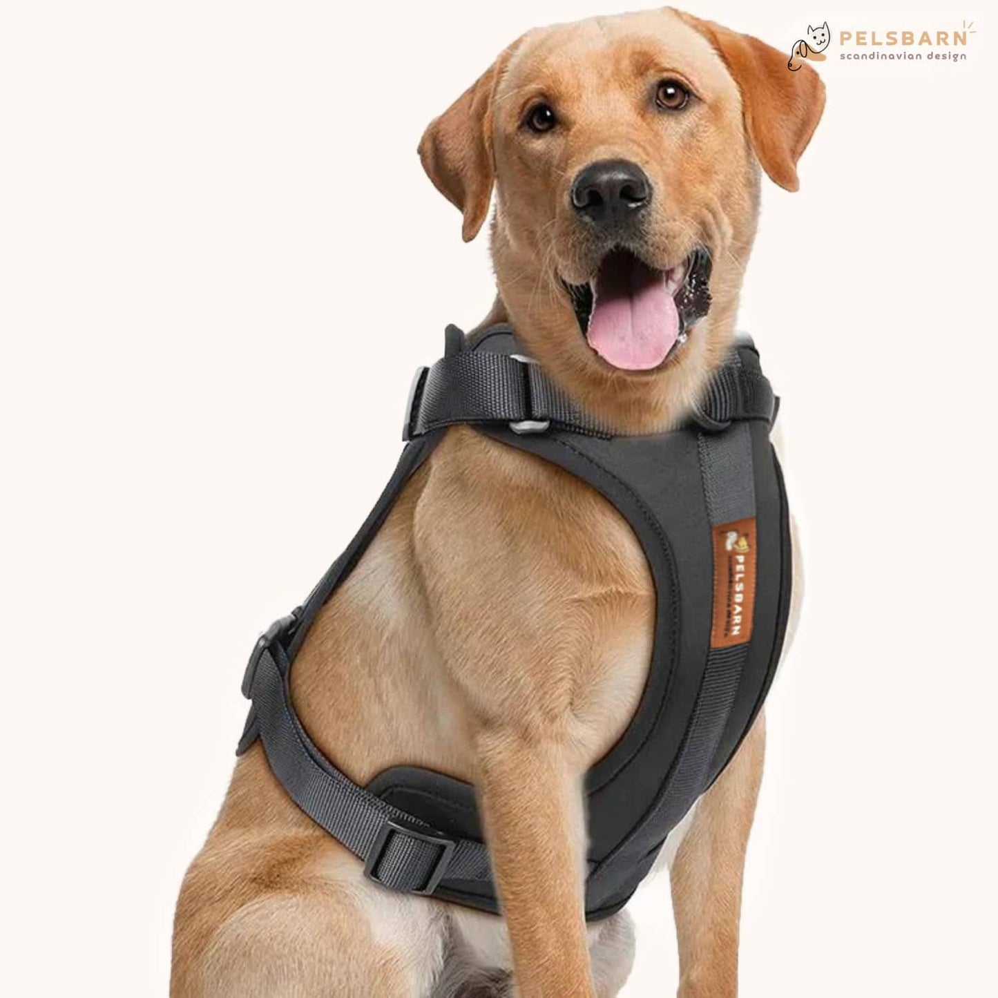 Kit de paseo con arnés sin tirones Pelsbarn
