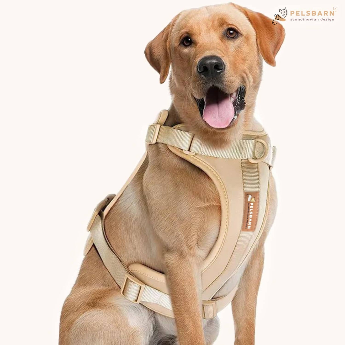 Kit de paseo con arnés sin tirones Pelsbarn