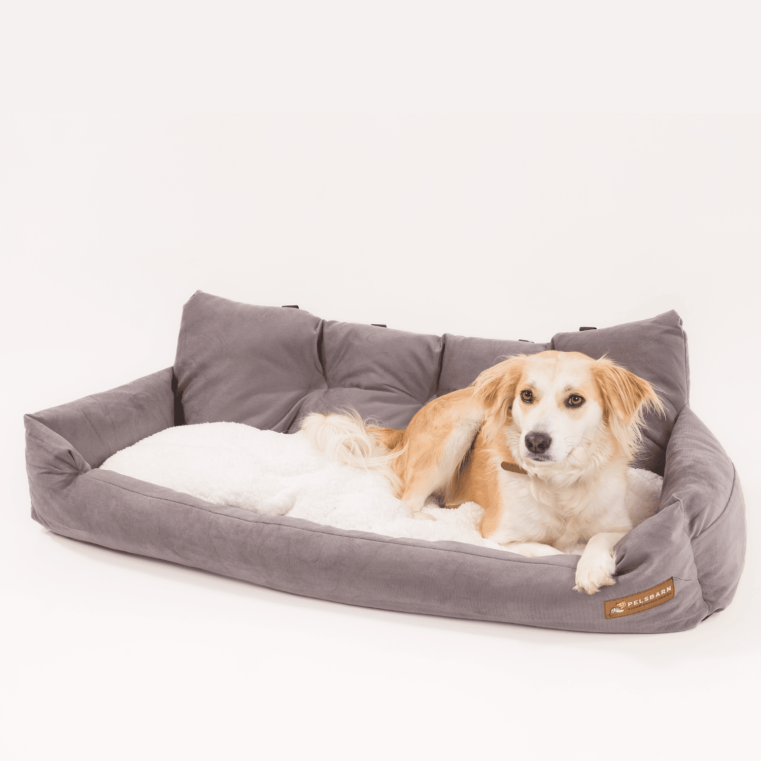 Long dog bed for two best sale