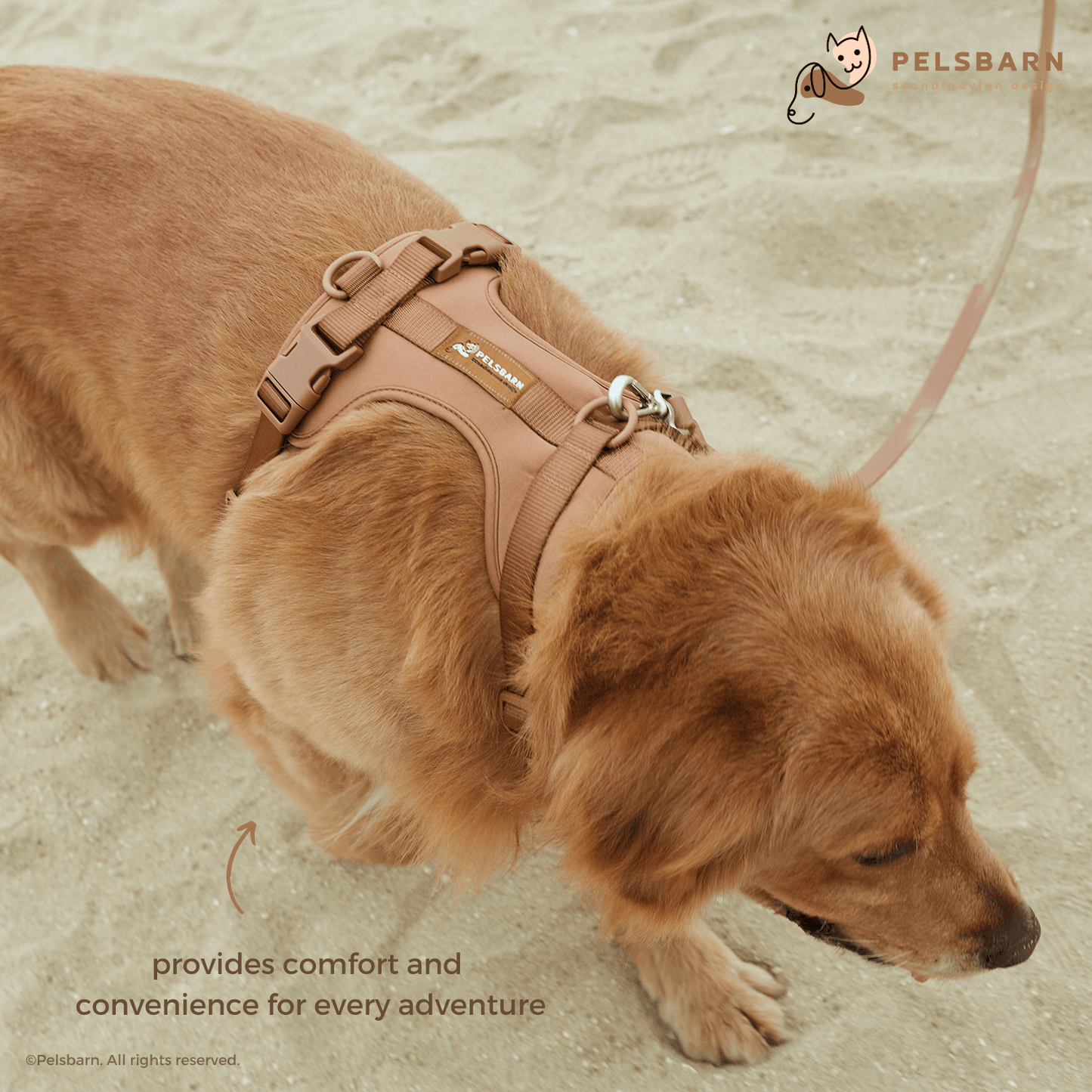 Kit de paseo con arnés sin tirones Pelsbarn