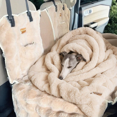 How to Welcome a Rescue Pup With Love