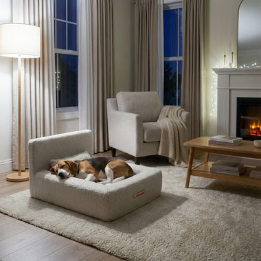 How to Keep Your Dog Calm on NYE (Fireworks & Stress Relief Guide)