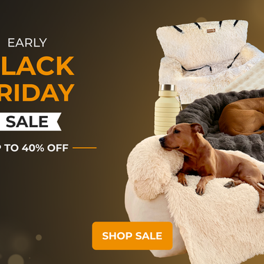 Your Black Friday Survival Guide