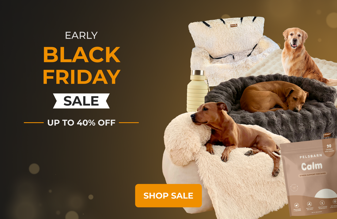 Your Black Friday Survival Guide