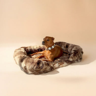 7 Biggest Mistakes When Buying a Dog Bed (and How to Avoid Them)