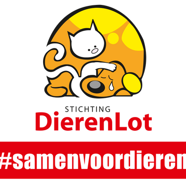 Stichting Dierenlot: Supporting Dutch Animal Shelters (August Donation)