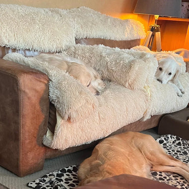 Remy Martin Goldens: Spreading Comfort & Love (June Donation)