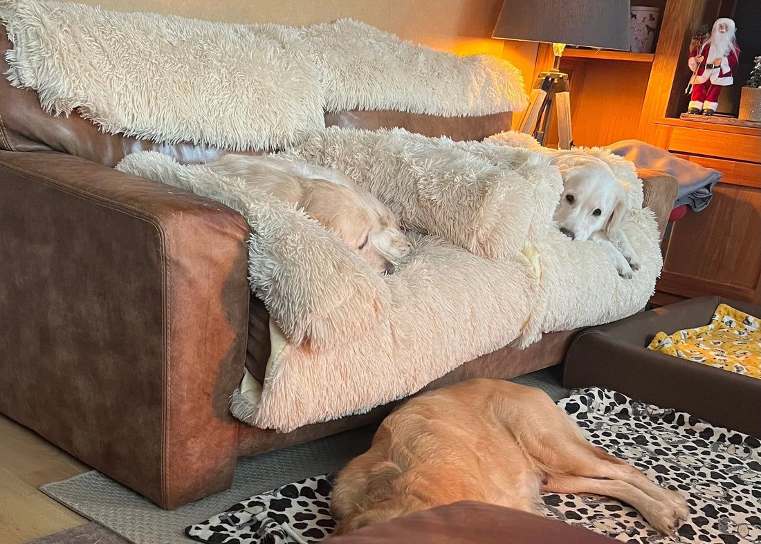 Remy Martin Goldens: Spreading Comfort & Love (June Donation)