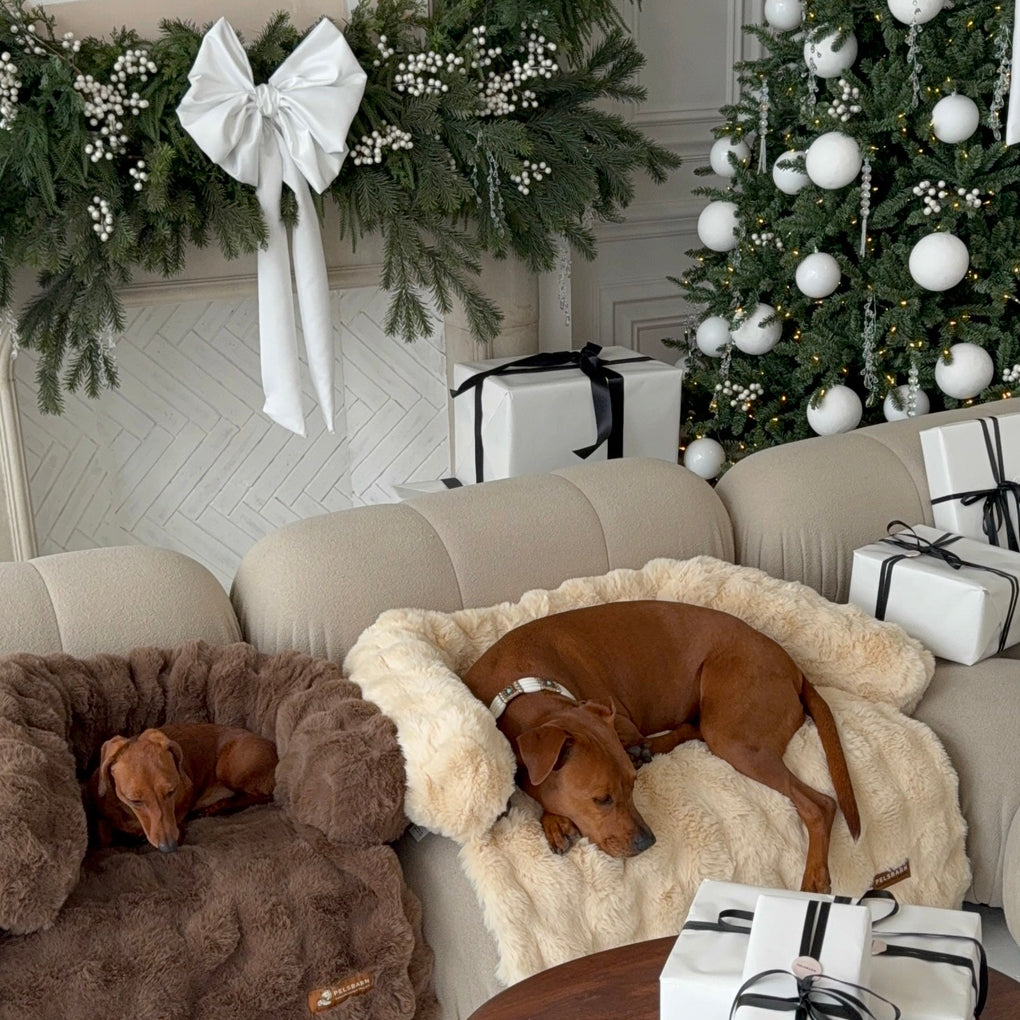 🐾 Pelsbarn Wrapped 2025