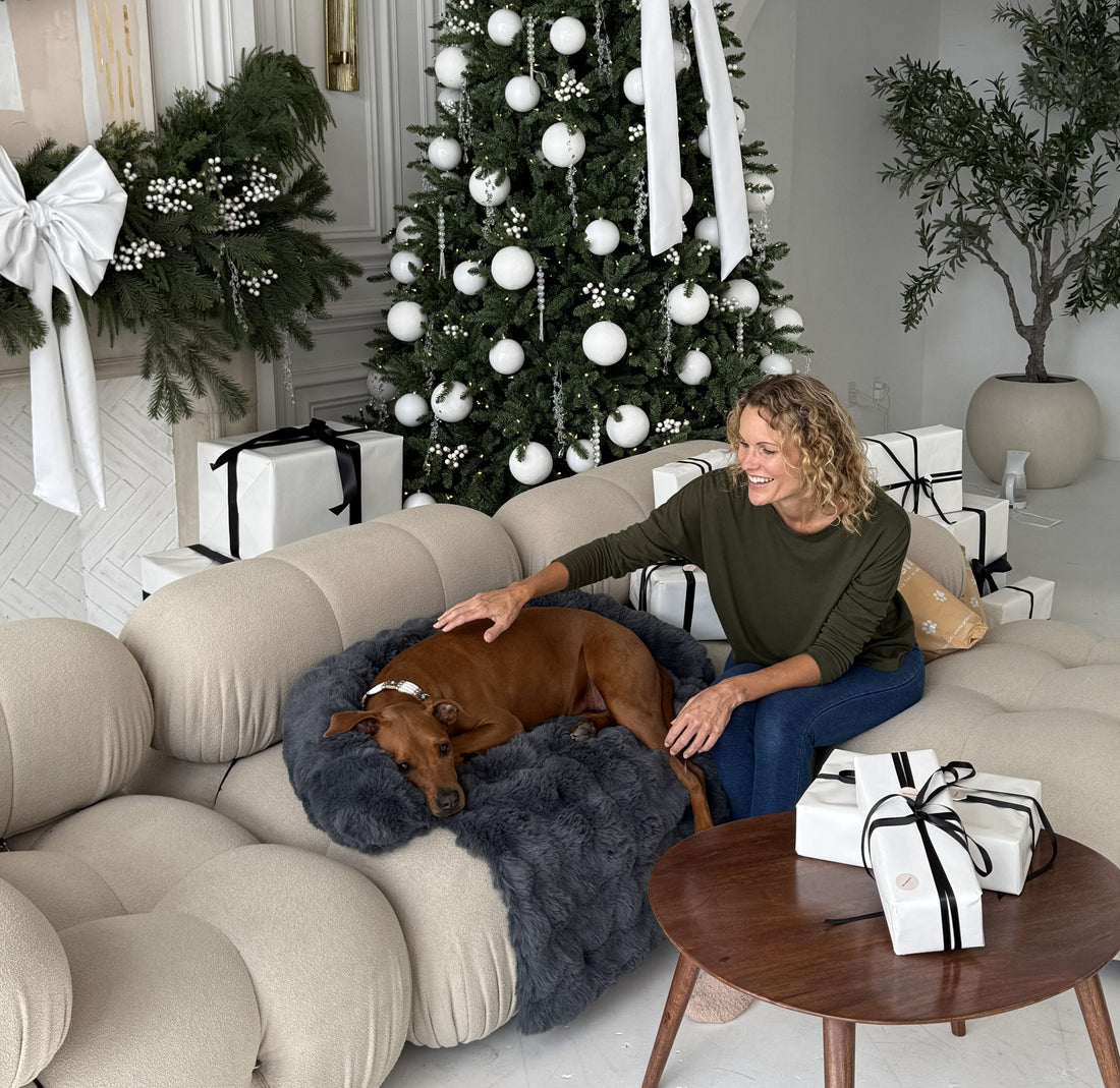 How to Dog-Proof Your Christmas Tree (Without Losing the Aesthetic)