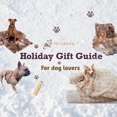 The Ultimate Holiday Gift Guide for Dog Lovers