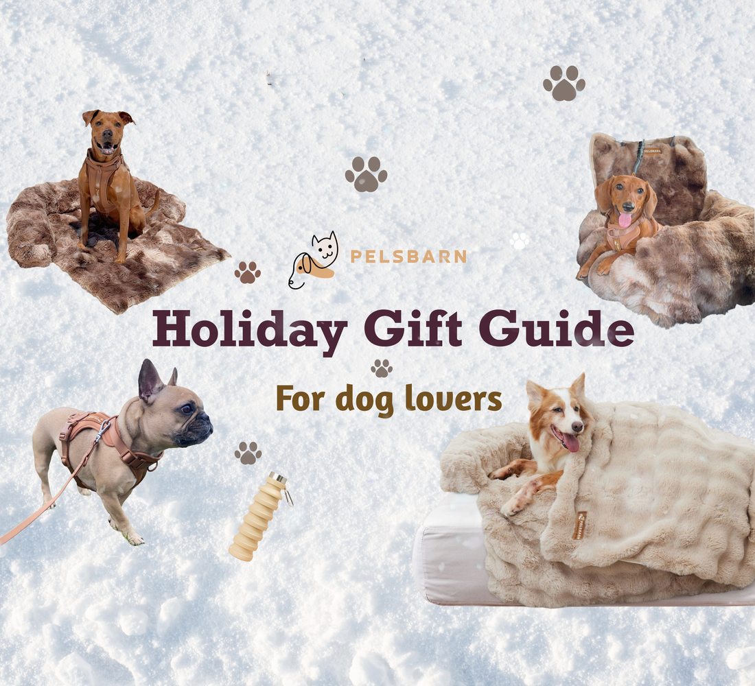 The Ultimate Holiday Gift Guide for Dog Lovers