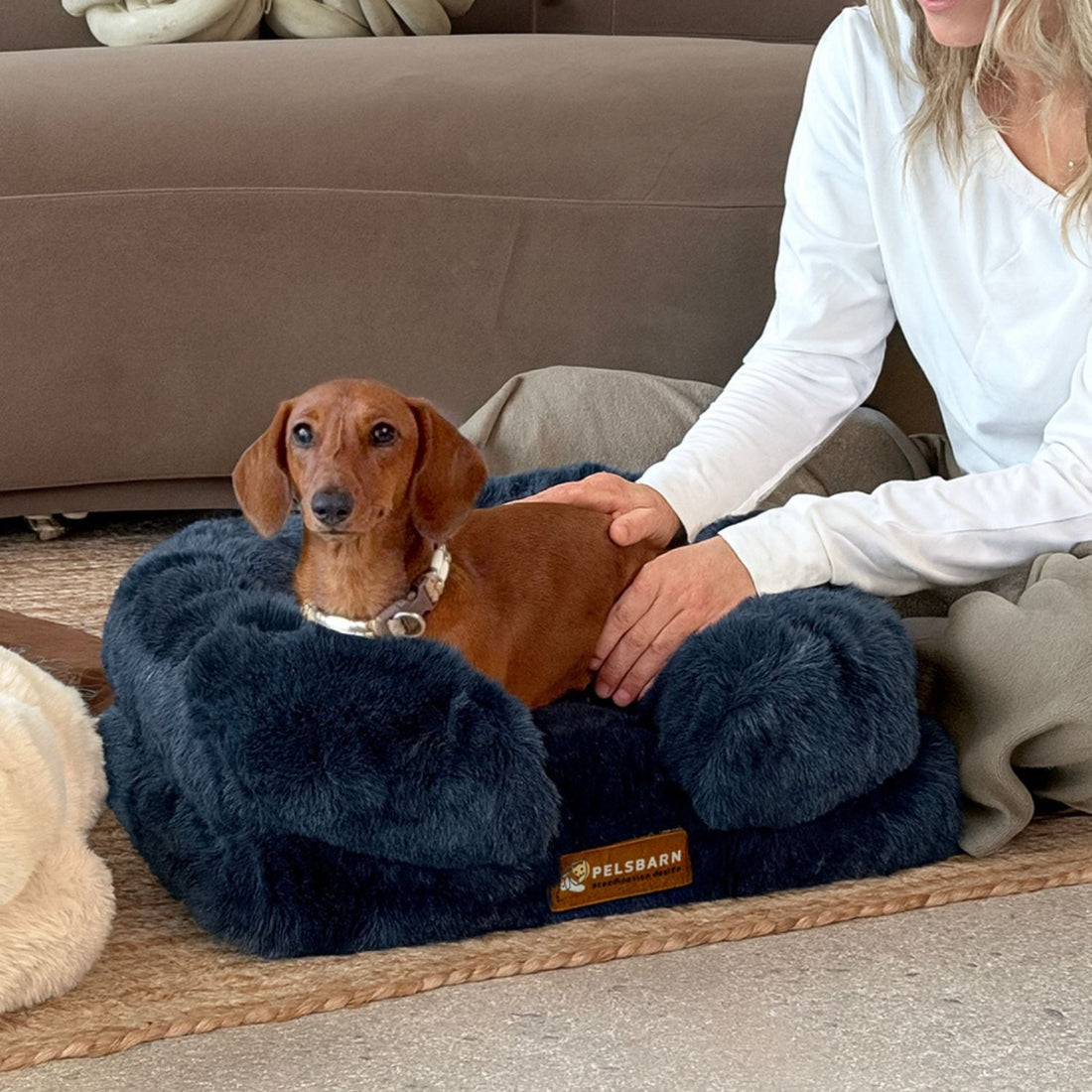 Orthopedic dog beds: does your dog really need one?