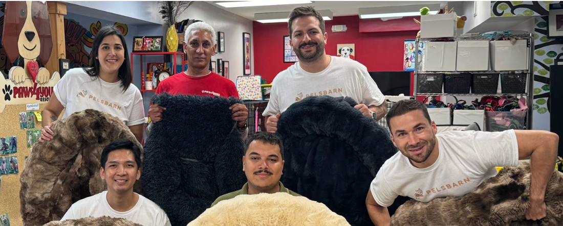 PAWS4you: From Our Hearts, To Paws in Need (A visit to PAWS4you)