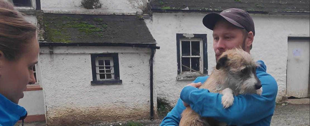 Hundar Utan Hem: Dissolving Borders with Animal Rescue (September Donation)