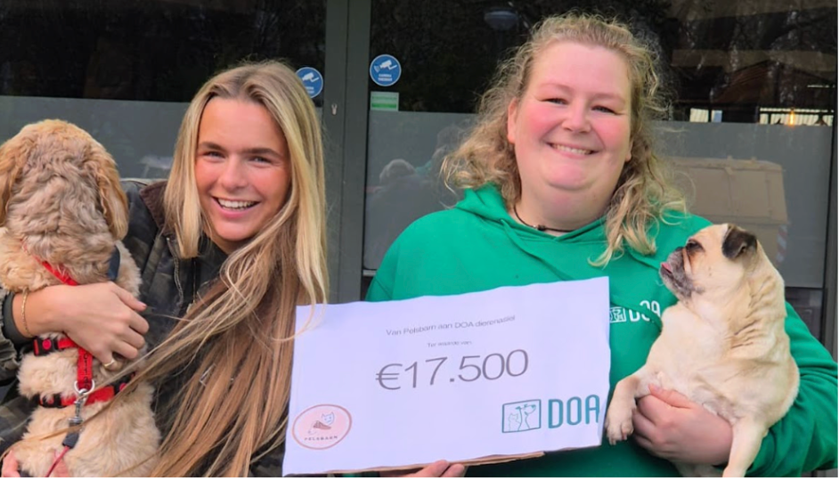 DOA: The Organization Changing Lives in the Netherlands (November Donation)