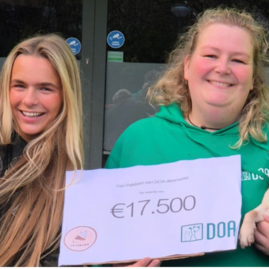 DOA: The Organization Changing Lives in the Netherlands (November Donation)