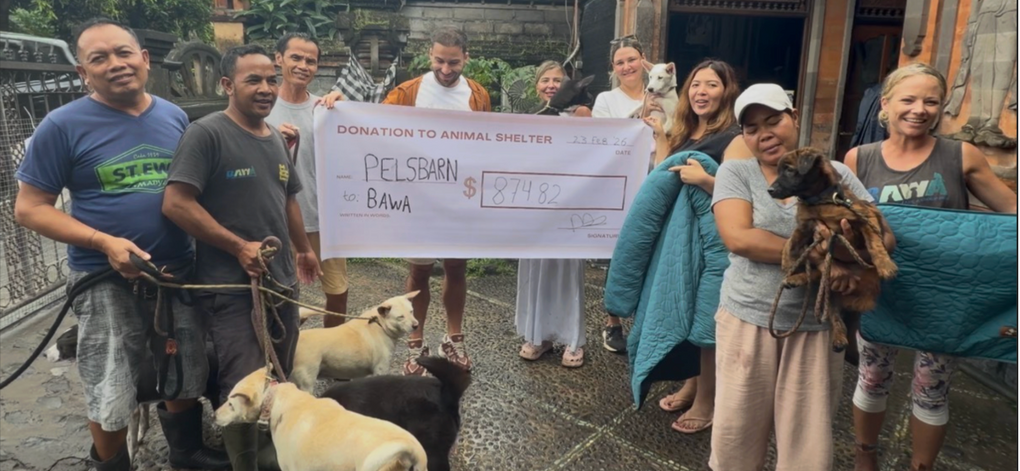 A Full Circle Moment at Bali Animal Welfare Association (BAWA)