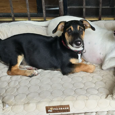 Moments That Matter: Supporting AARRC (March Donation)