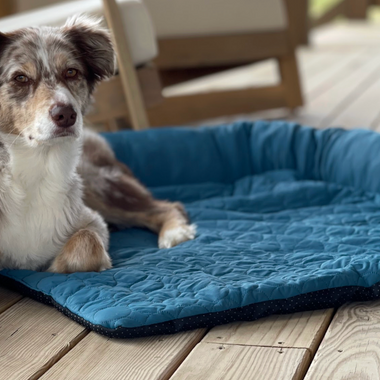 How Dogs Regulate Body Temperature