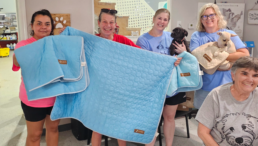 Continuing Our Support for Jenni’s Rescue Ranch (June Donation)
