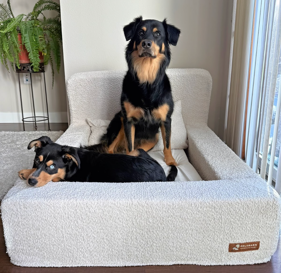 Orthopedic Dog Beds: Does Your Dog Really Need One?