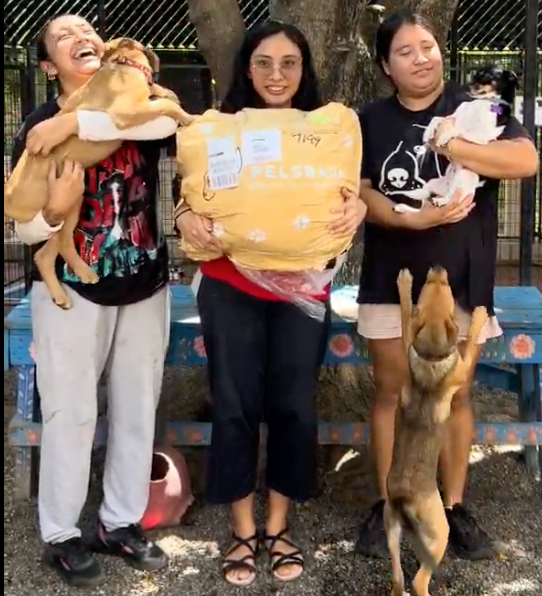 Keeping Cool at Wet Noses Rescue: A Little Relief from the Mexico Heat (July Donation)