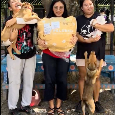 Keeping Cool at Wet Noses Rescue: A Little Relief from the Mexico Heat (July Donation)