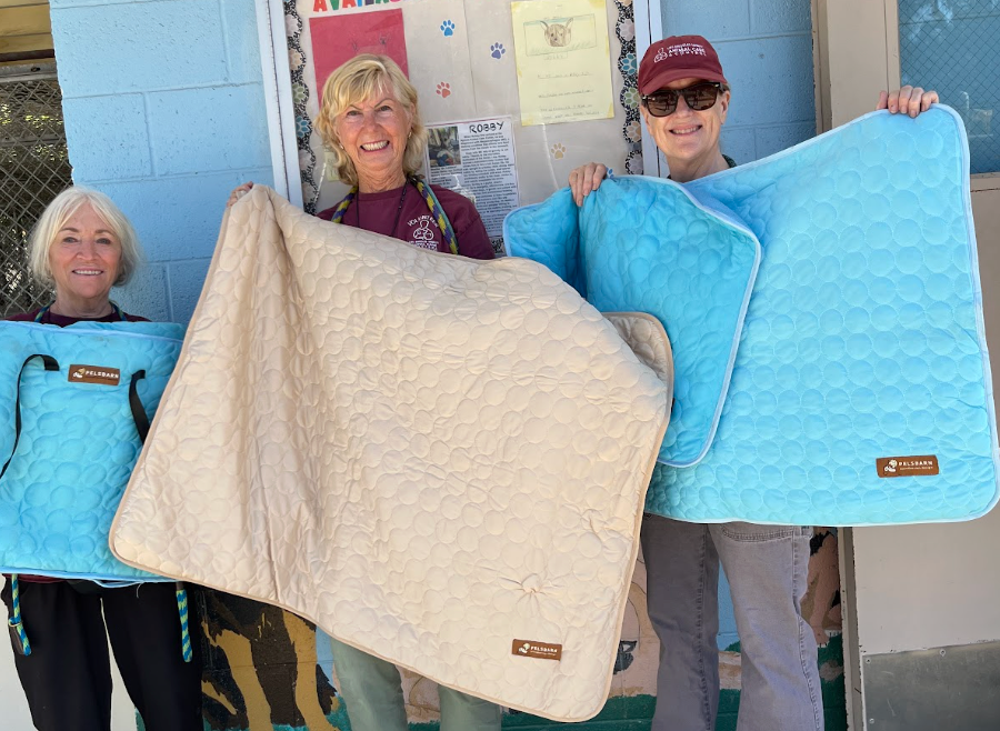 Agoura Animal Care Center: Supporting the Dogs Behind Their Mission (July Donation)