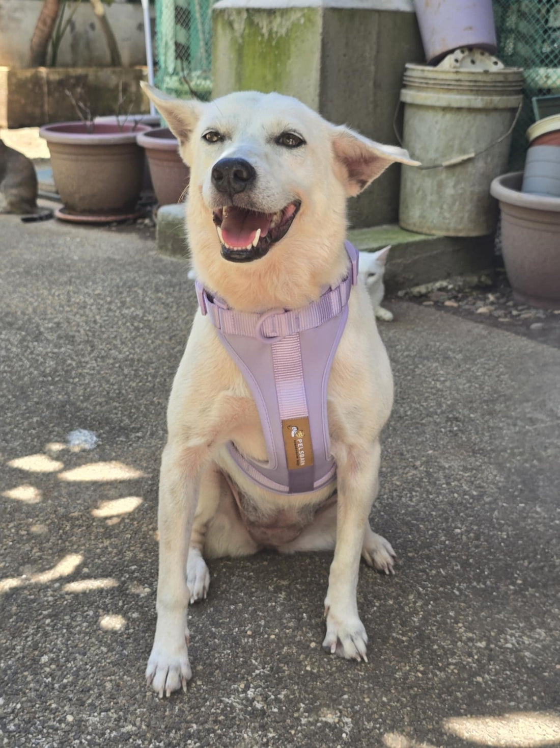 New Year Resolution: Moving More