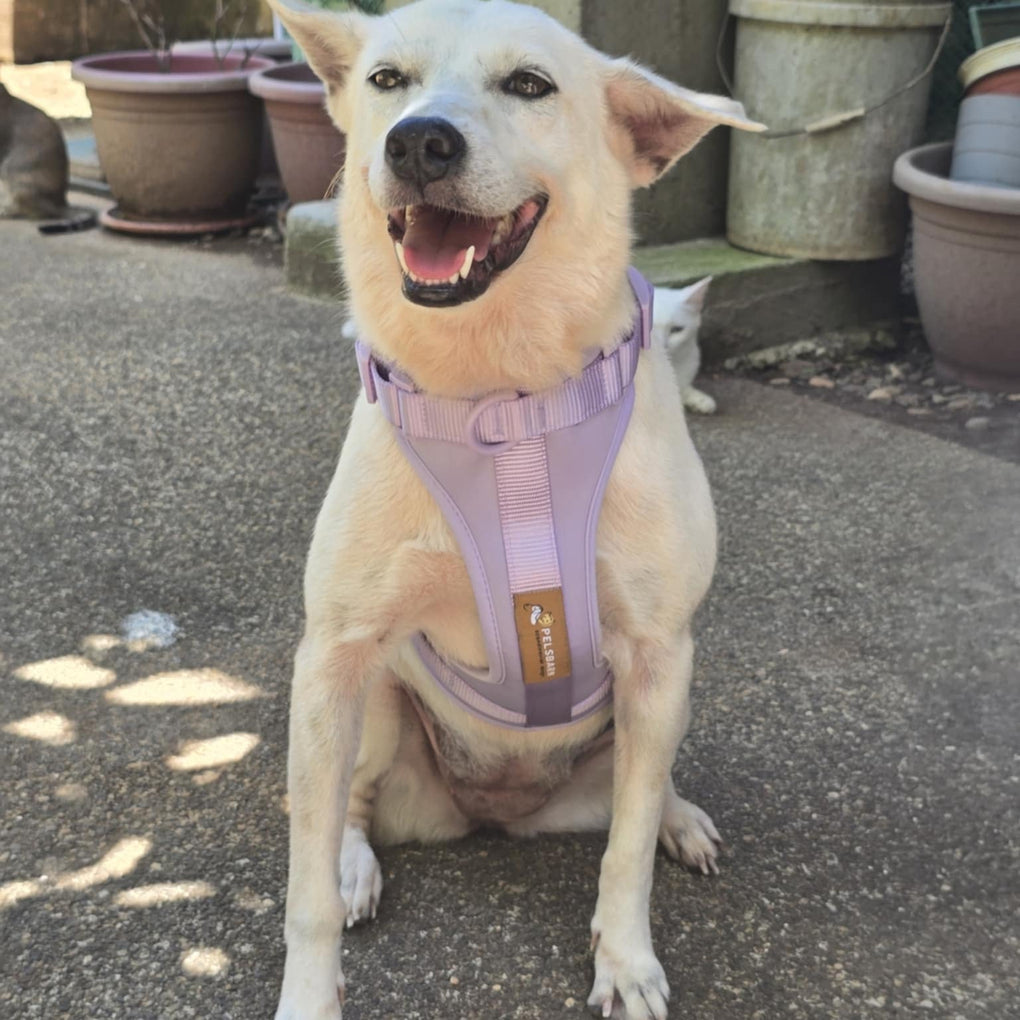 New Year Resolution: Moving More