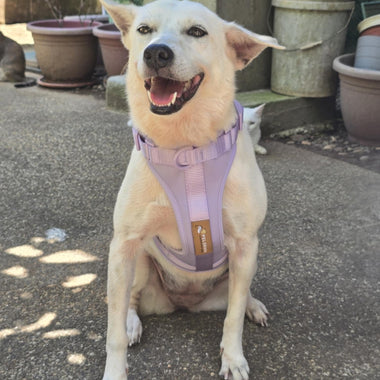 New Year Resolution: Moving More