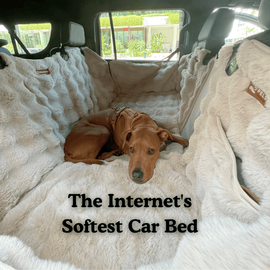 Luxurious Full Backseat Dog Bed