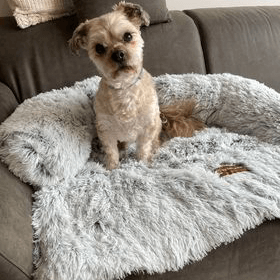Original Calming Bed