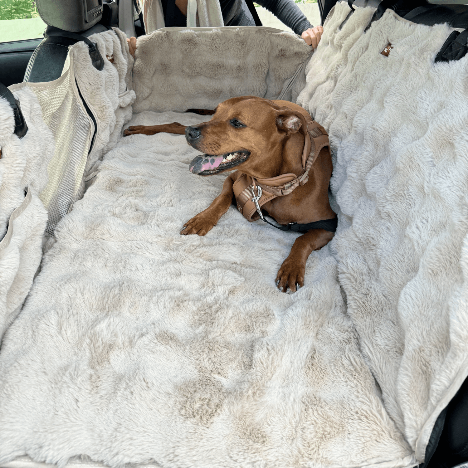 Luxurious Full Backseat Protector + Free Calming Blanket