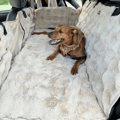 Luxurious Full Backseat Protector + Free Calming Blanket