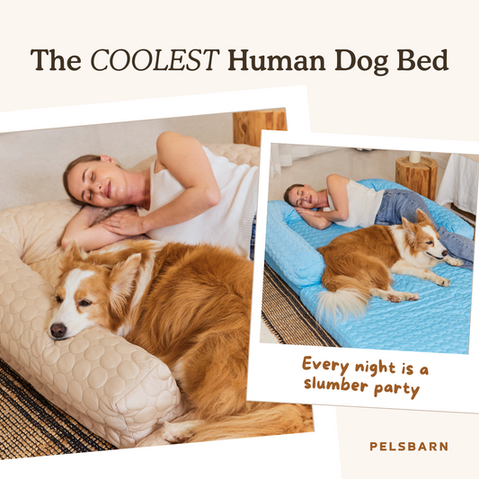 Human Size Cooling Dog Bed