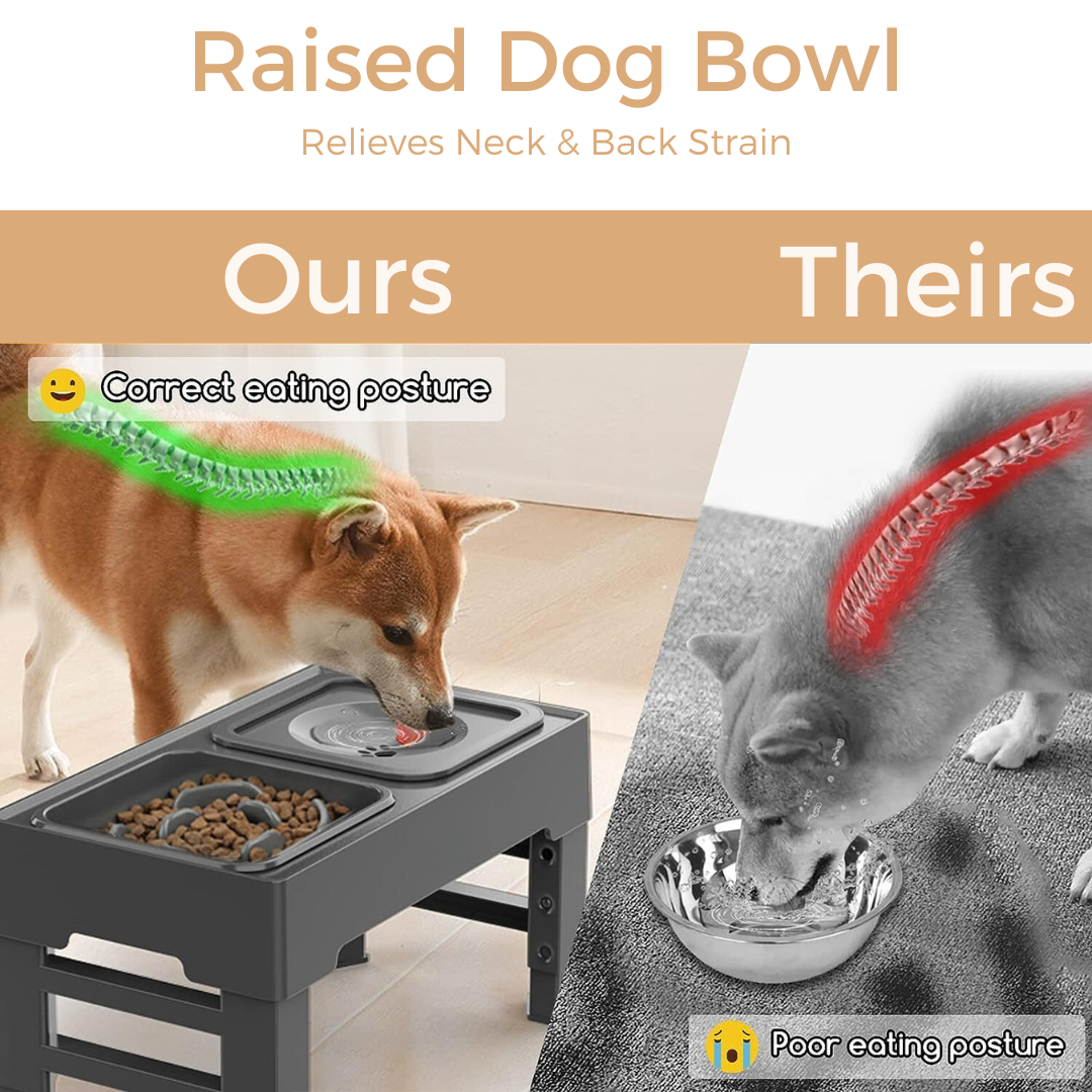 Elevated Dog Bowls, Adjustable Raised Dog Bowls with No Spill Dog