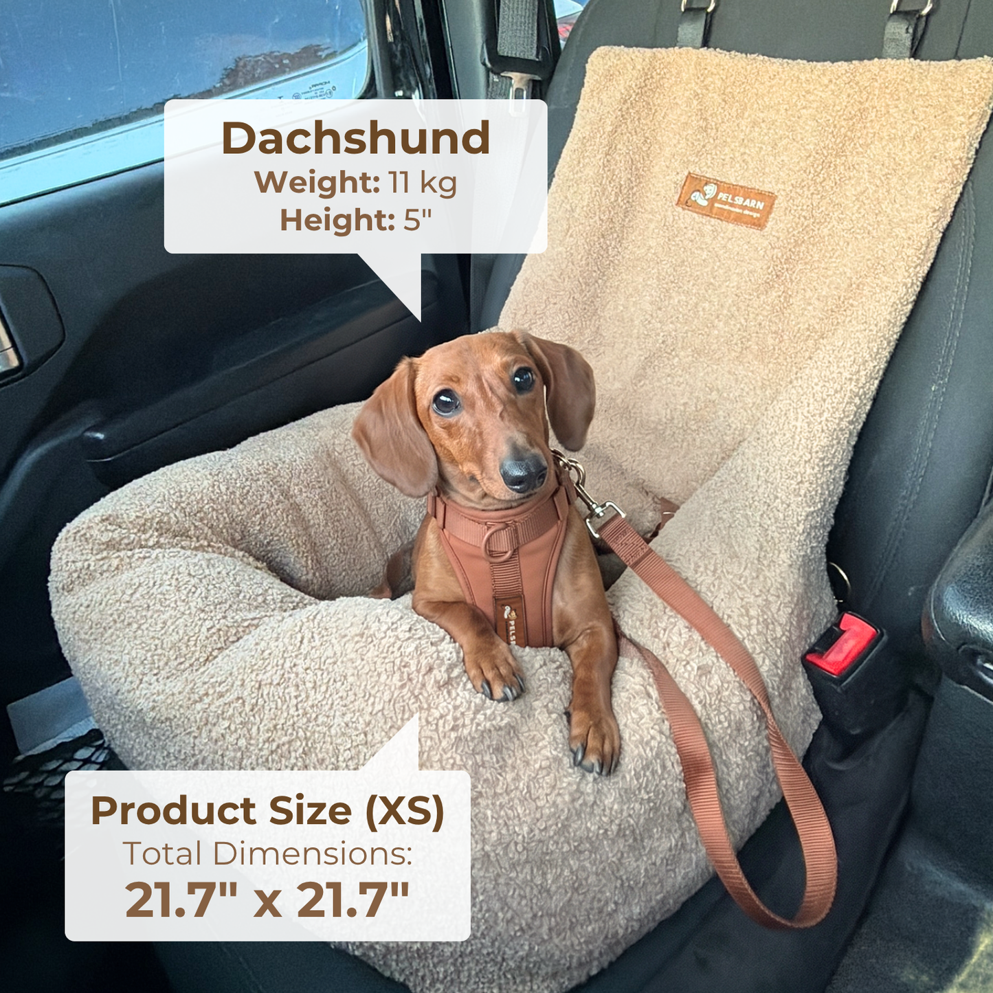 Teddy Car Bed ( 1+1 )