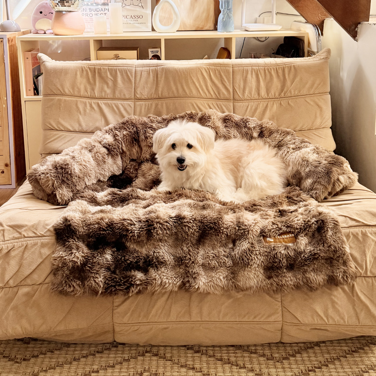 Luxurious Sofa Bed
