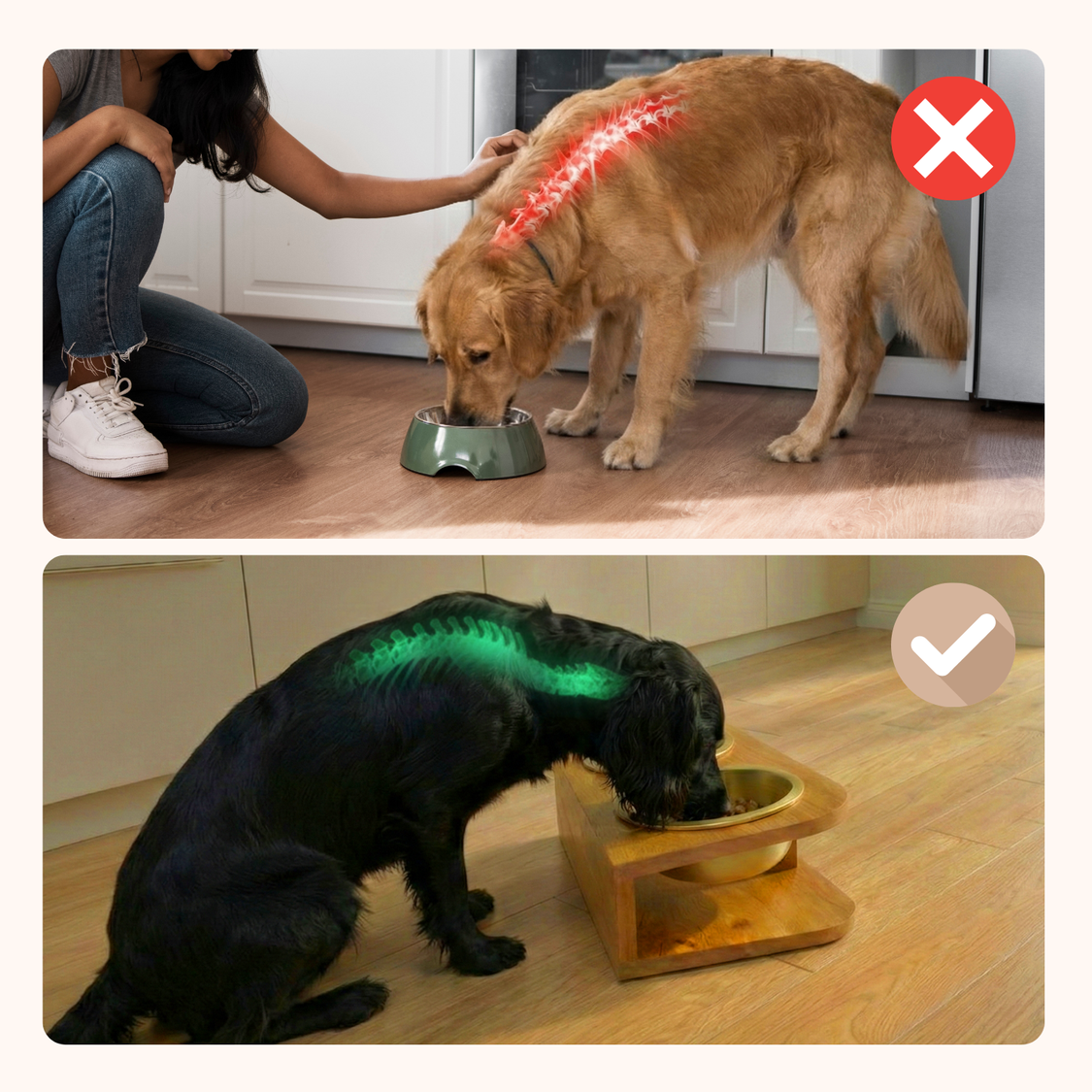 Pelsbarn Bamboo Diner Bowl