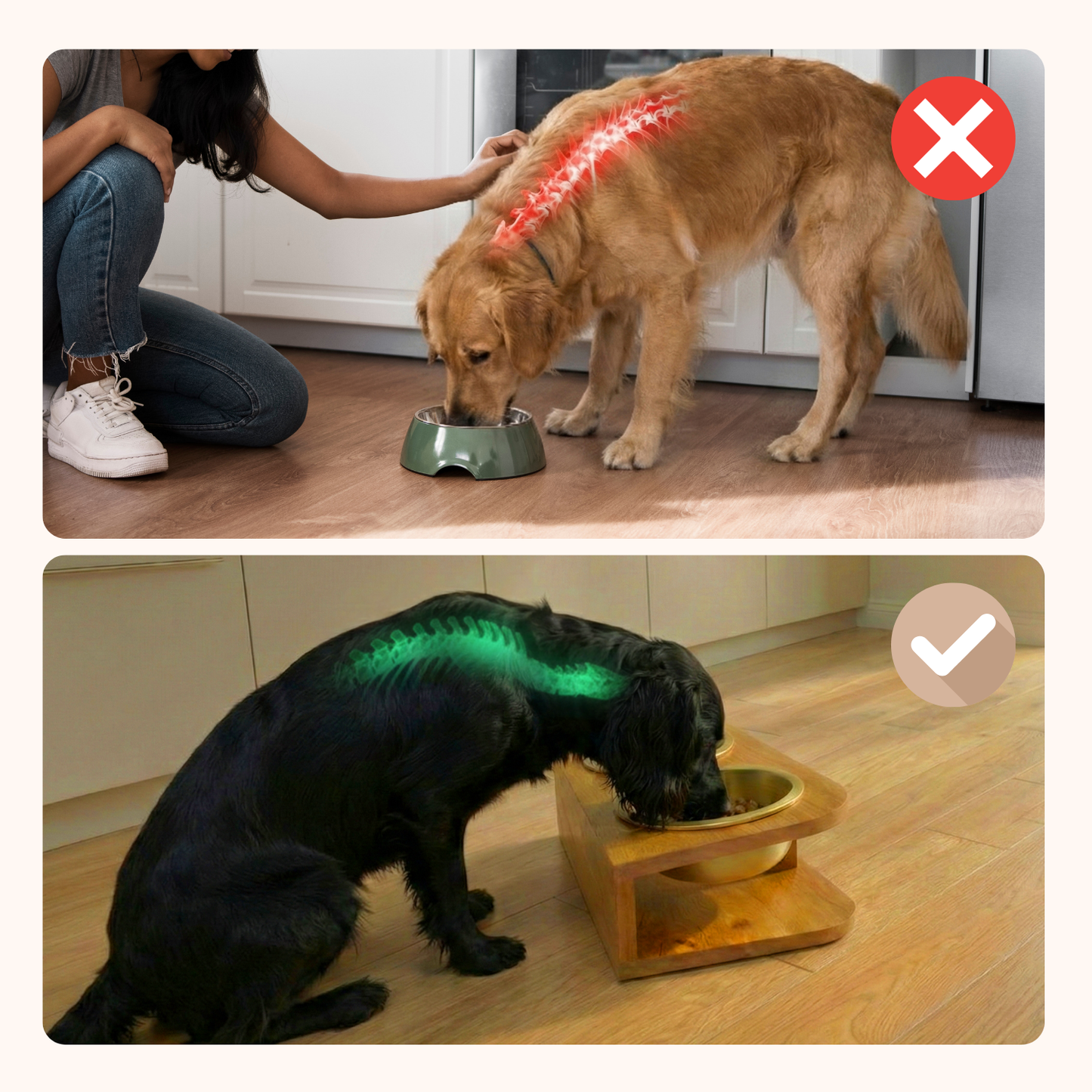 Pelsbarn Bamboo Diner Bowl