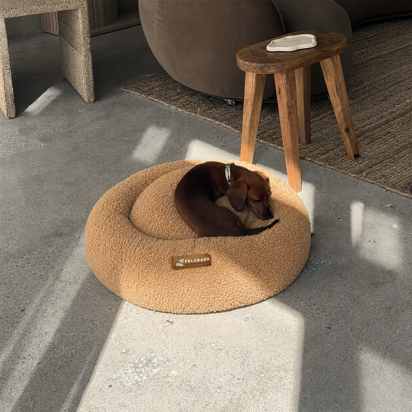 Teddy Donut Bed (1+1 )
