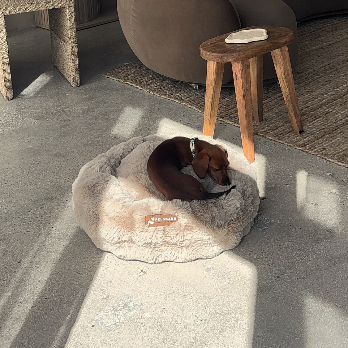 Luxurious Donut Bed 1+1