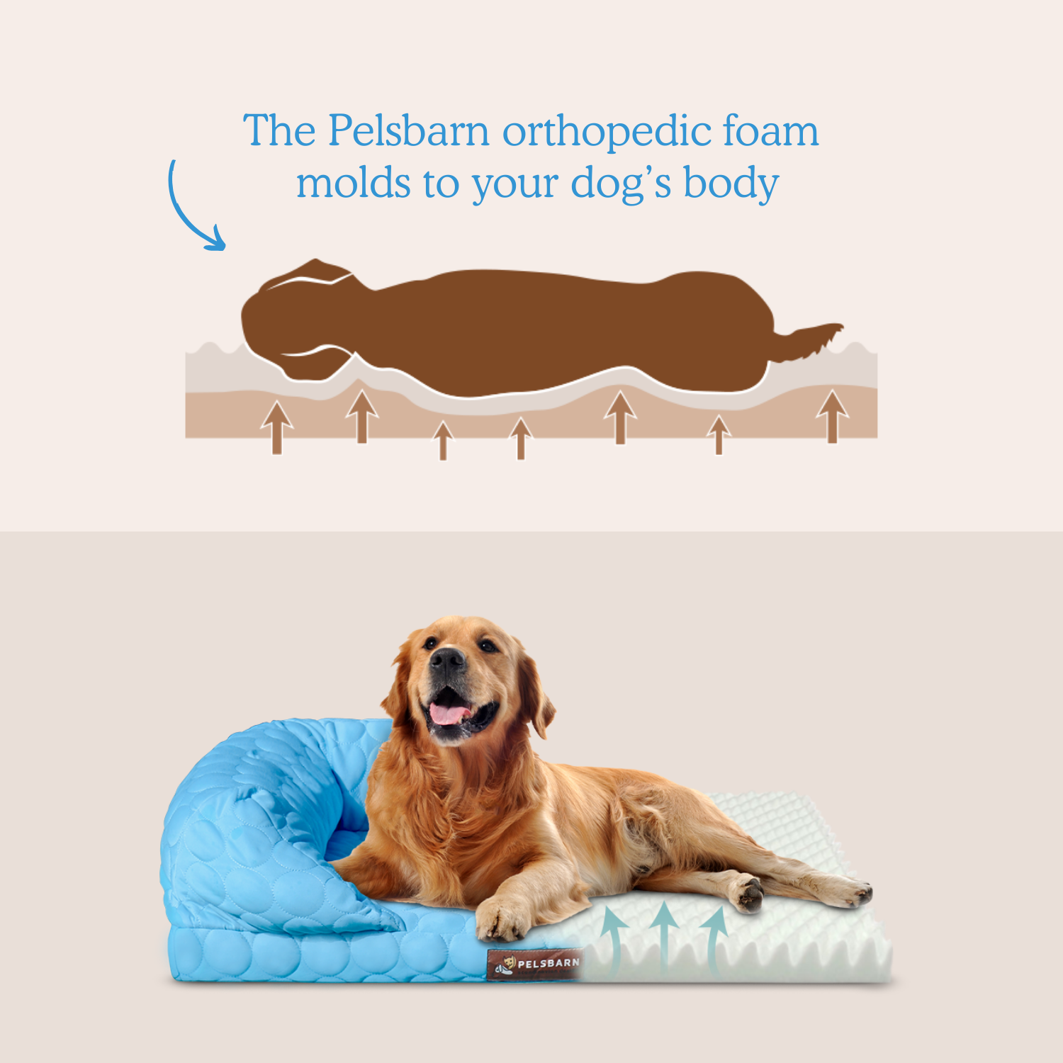 Cooling dog bed canada hot sale