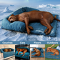 Pelsbarn Cooling Bed (4x more effective)
